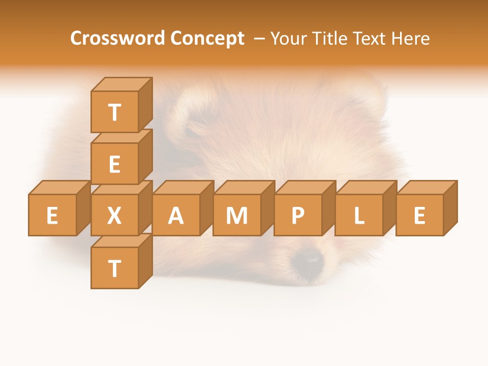 Cute Staring Horizontal PowerPoint Template