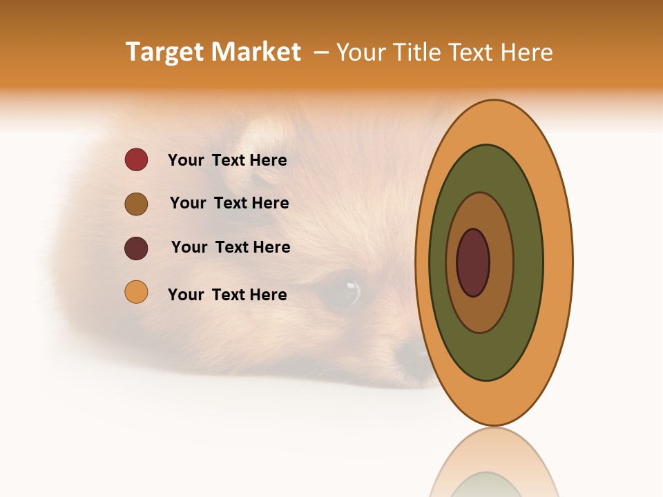 Cute Staring Horizontal PowerPoint Template