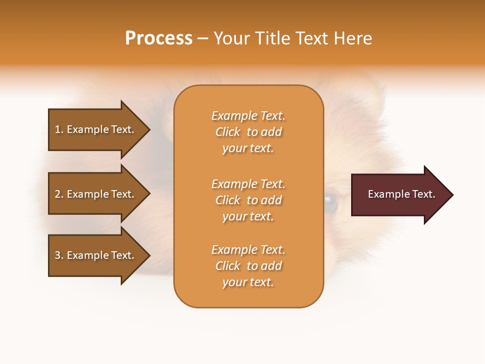 Cute Staring Horizontal PowerPoint Template