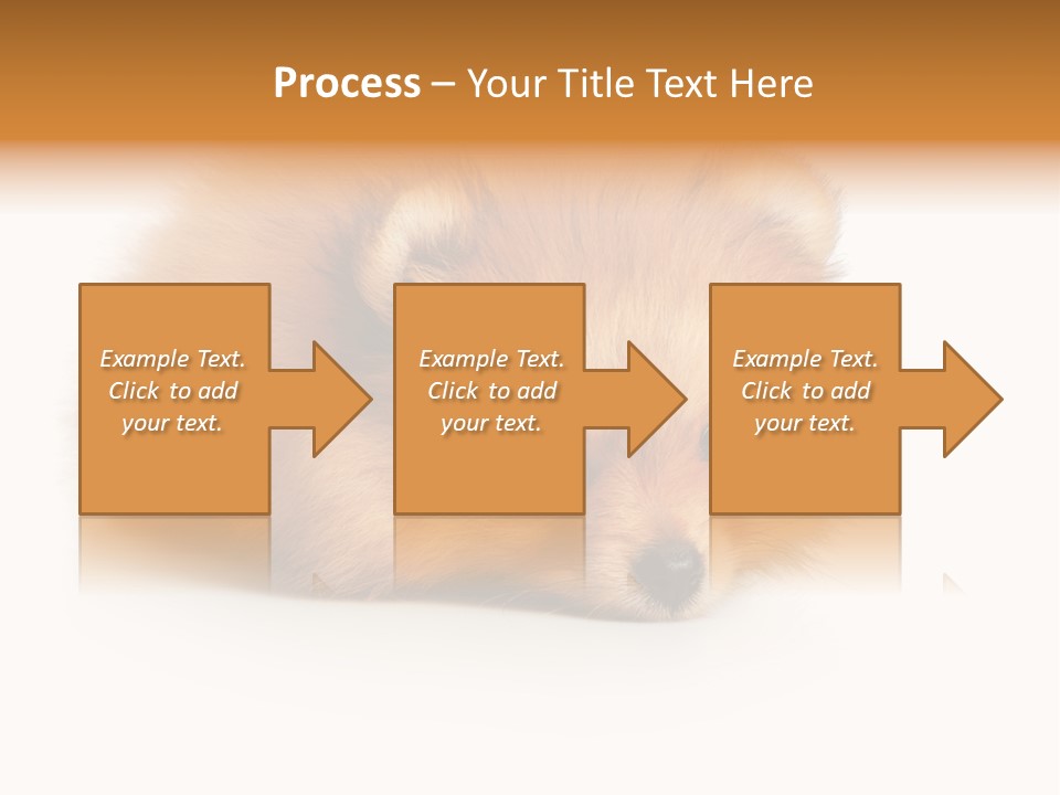 Cute Staring Horizontal PowerPoint Template