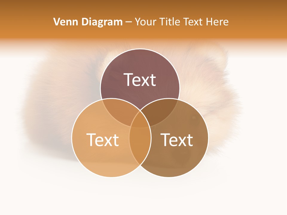 Cute Staring Horizontal PowerPoint Template