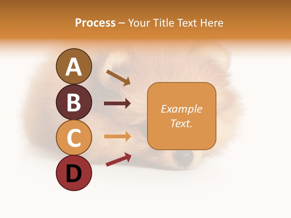 Cute Staring Horizontal PowerPoint Template