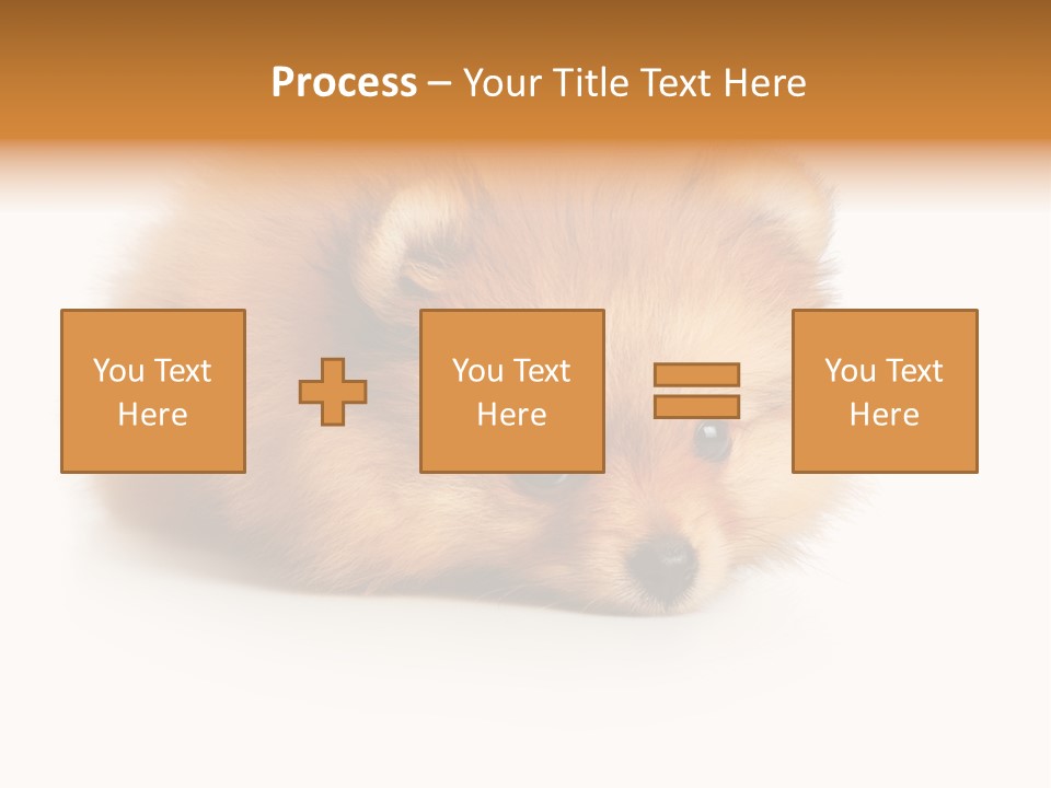 Cute Staring Horizontal PowerPoint Template