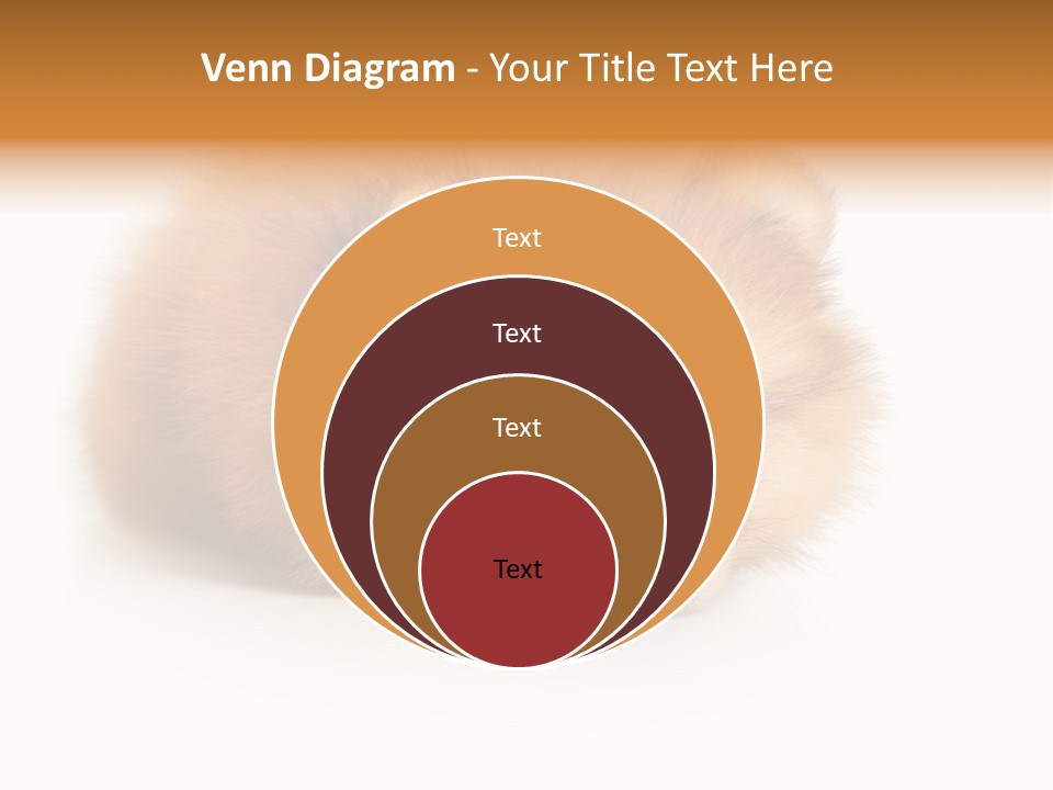 Cute Staring Horizontal PowerPoint Template