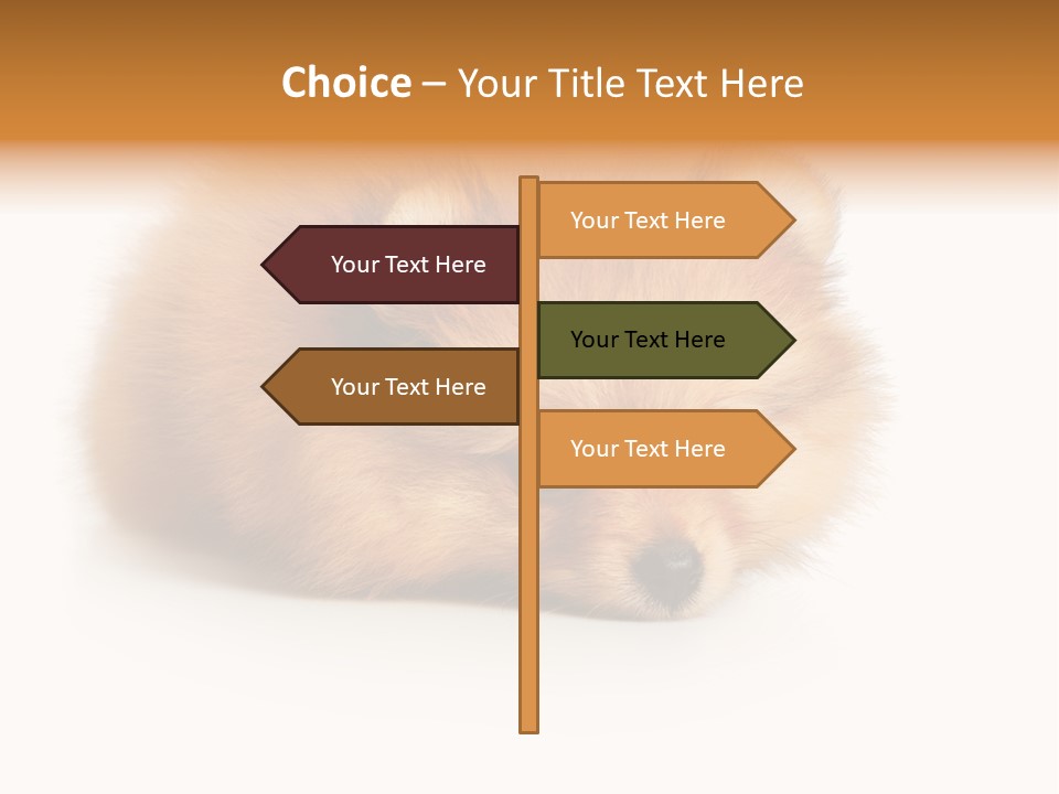 Cute Staring Horizontal PowerPoint Template