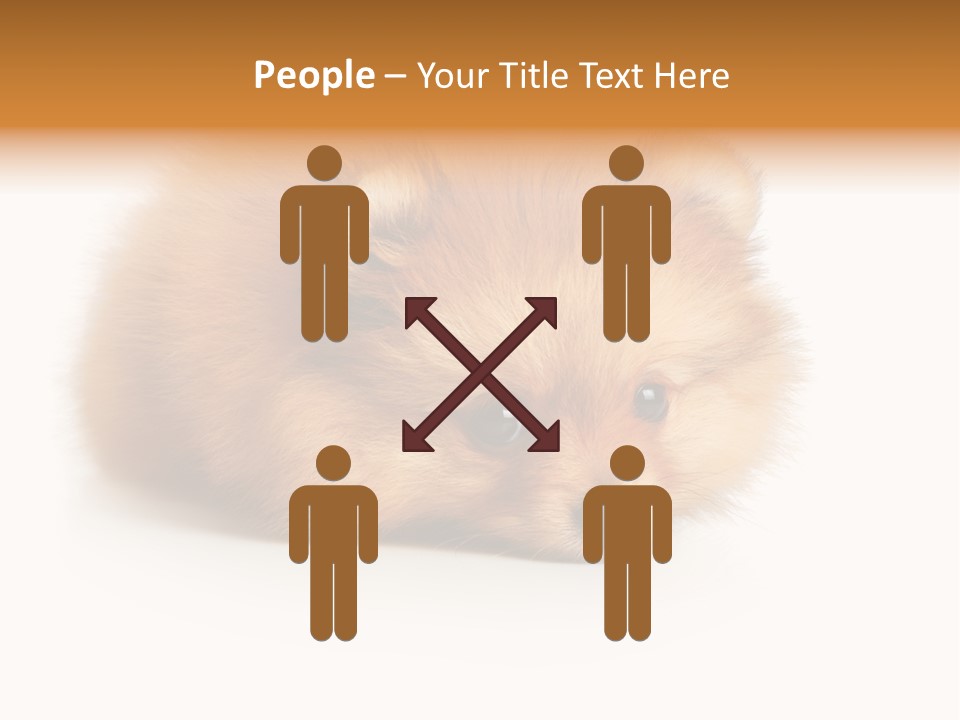 Cute Staring Horizontal PowerPoint Template