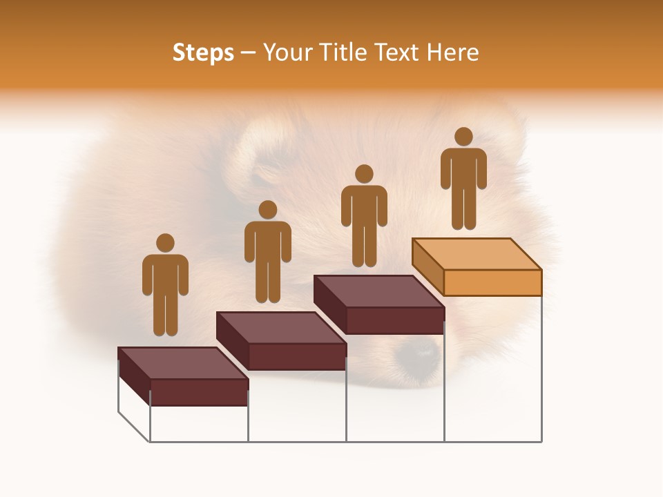 Cute Staring Horizontal PowerPoint Template