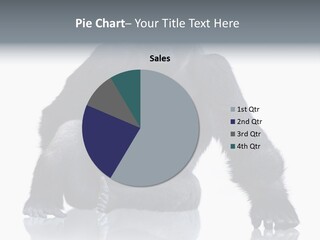 Sit King Kong Young PowerPoint Template