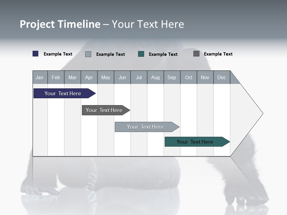 Sit King Kong Young PowerPoint Template
