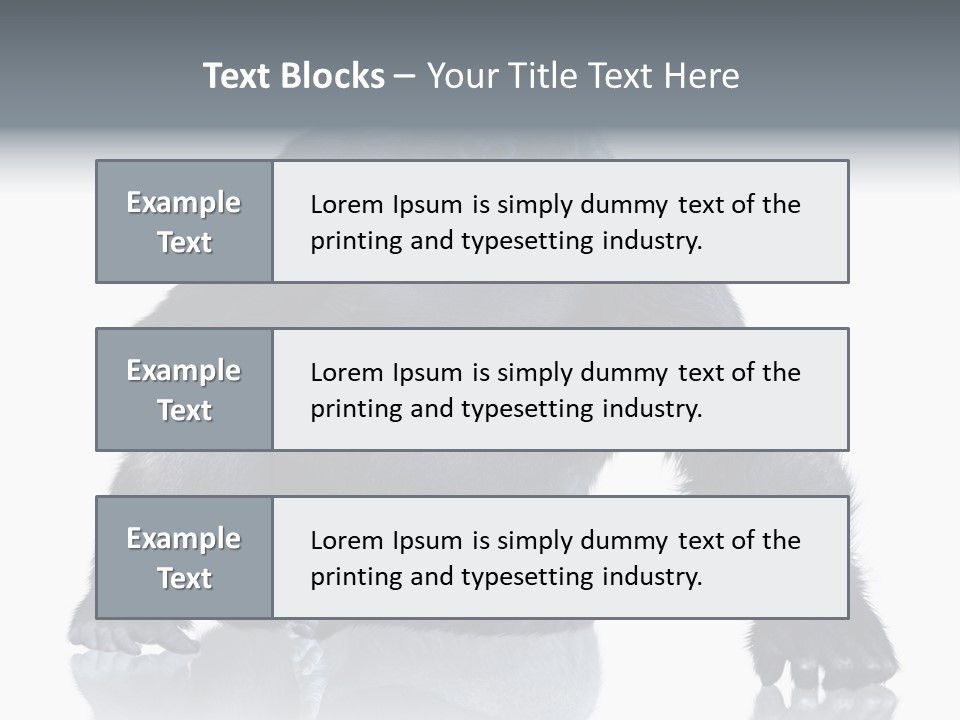 Sit King Kong Young PowerPoint Template