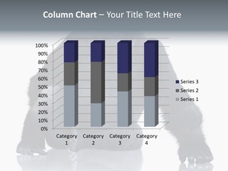 Sit King Kong Young PowerPoint Template