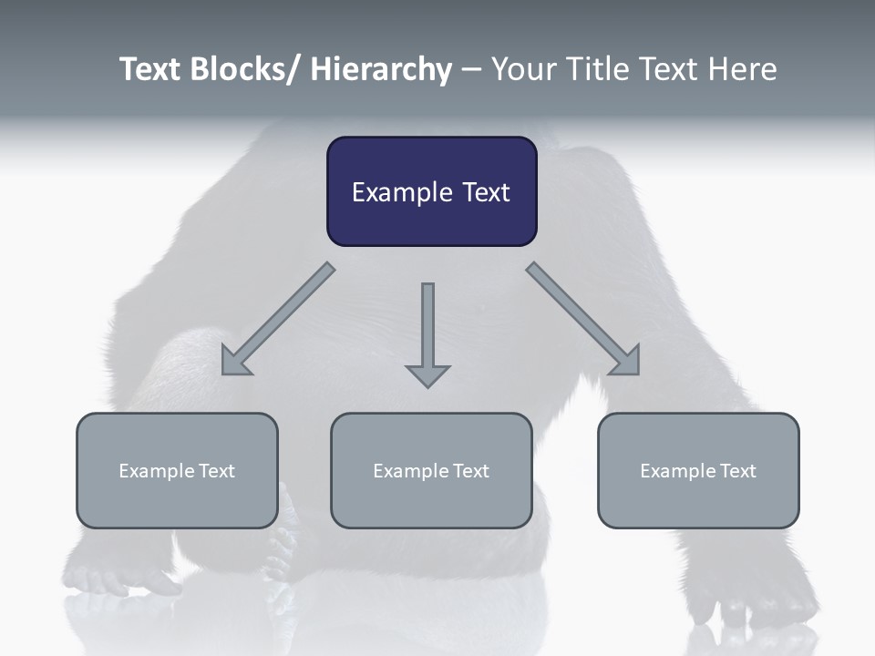 Sit King Kong Young PowerPoint Template