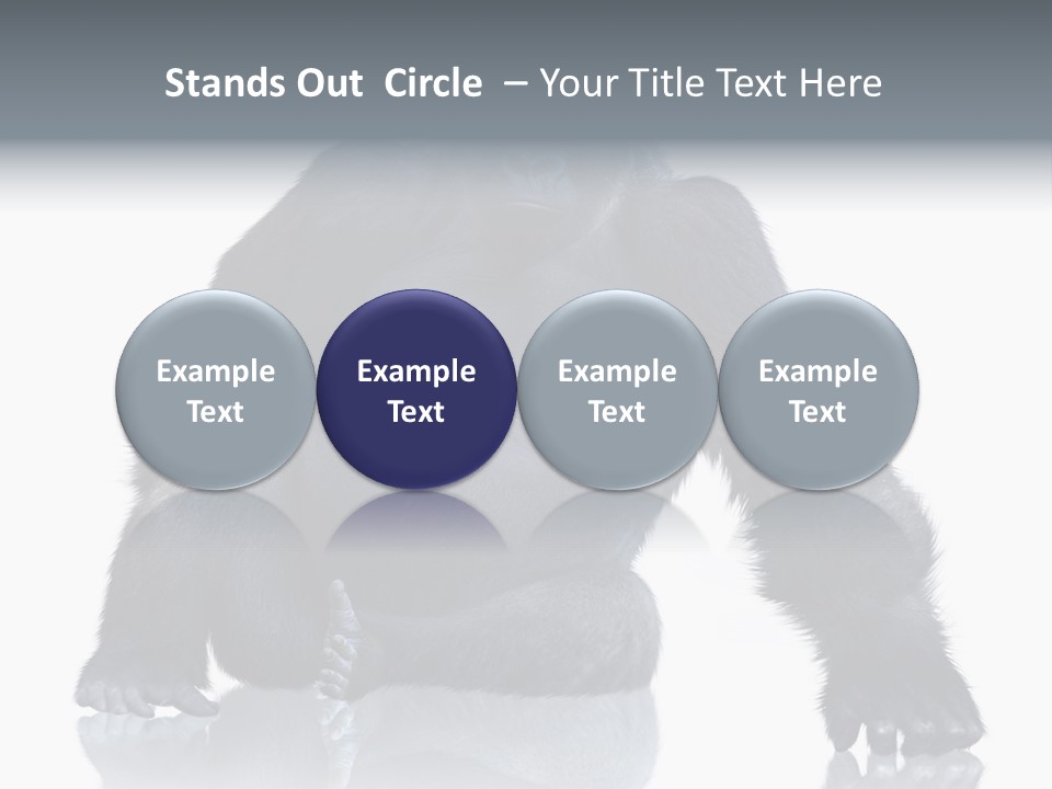 Sit King Kong Young PowerPoint Template