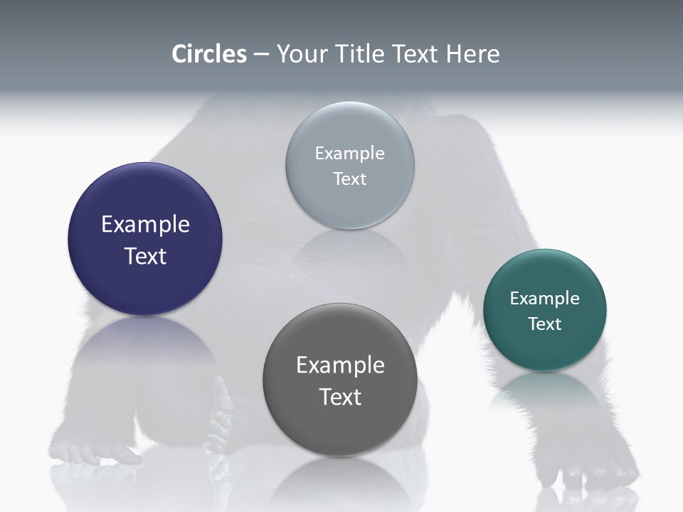 Sit King Kong Young PowerPoint Template