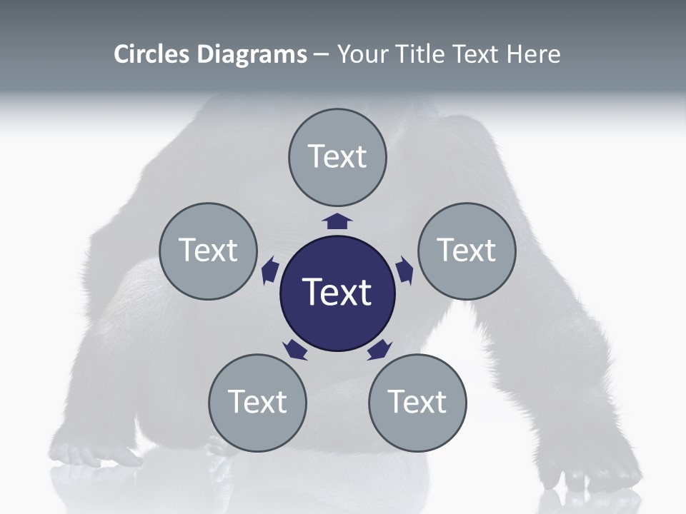 Sit King Kong Young PowerPoint Template