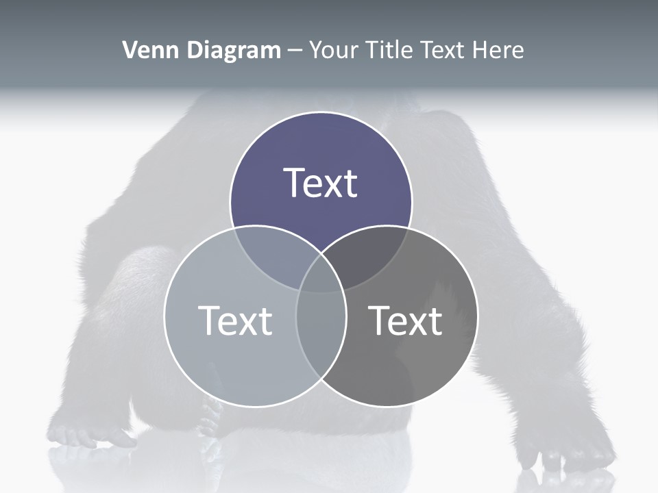 Sit King Kong Young PowerPoint Template