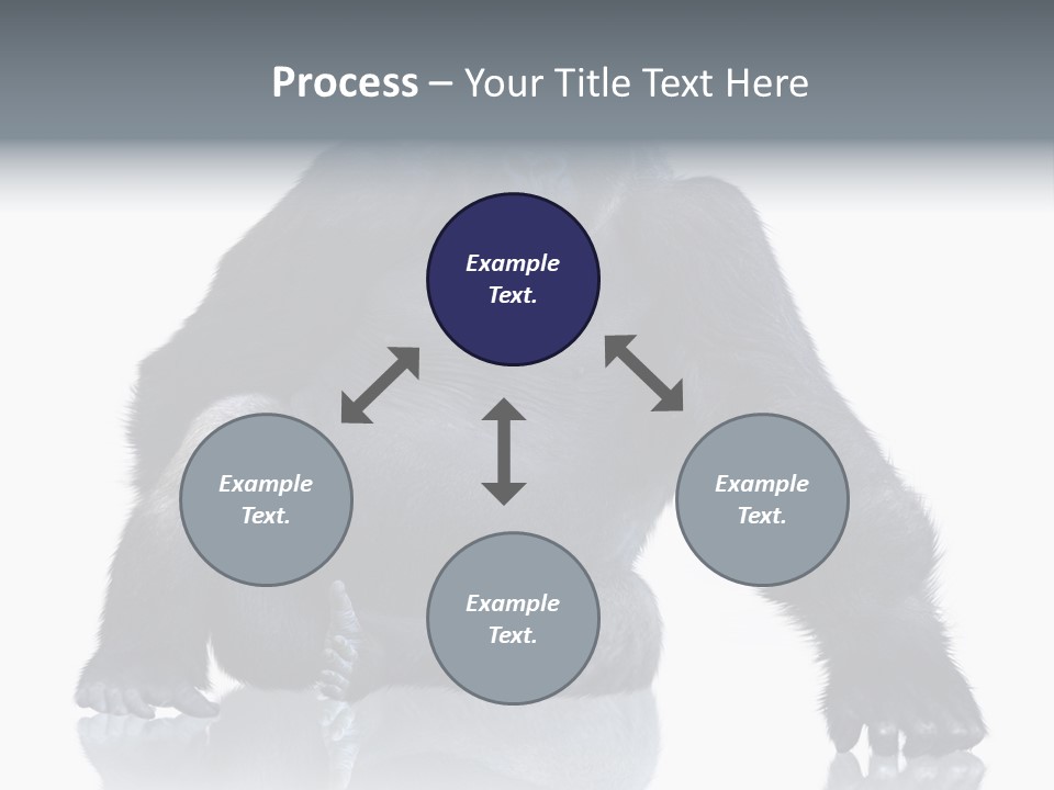 Sit King Kong Young PowerPoint Template