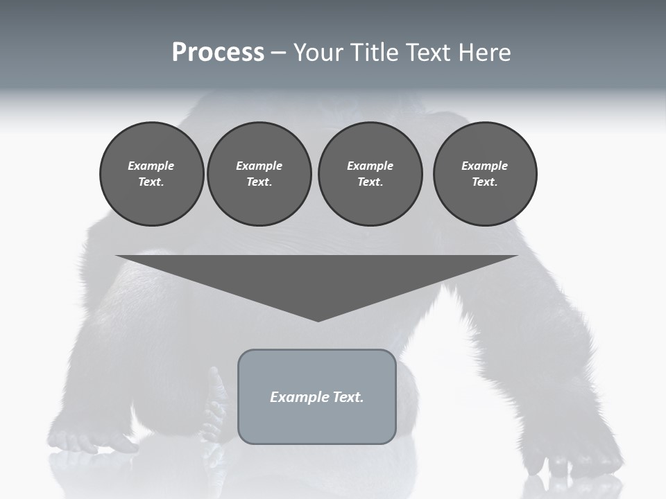 Sit King Kong Young PowerPoint Template