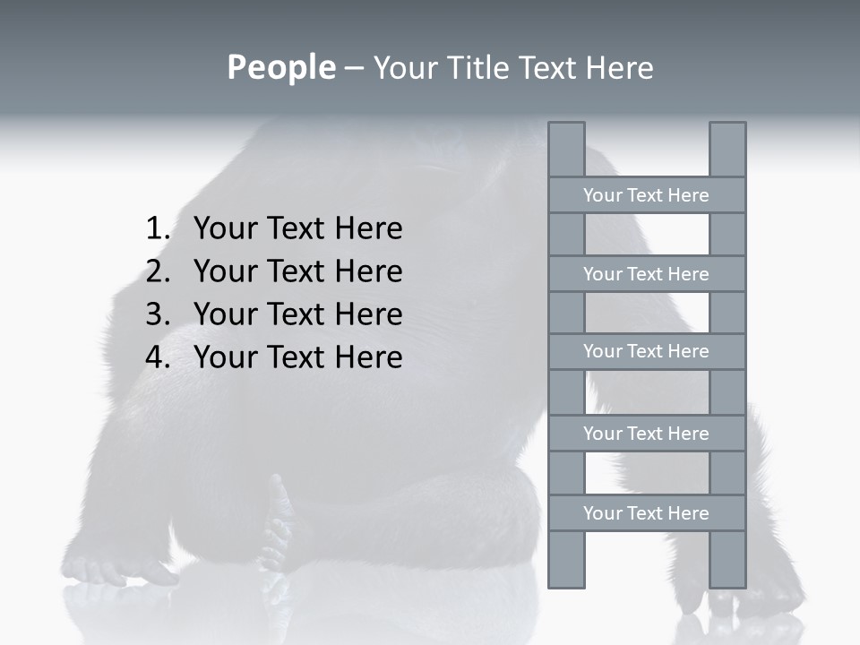 Sit King Kong Young PowerPoint Template