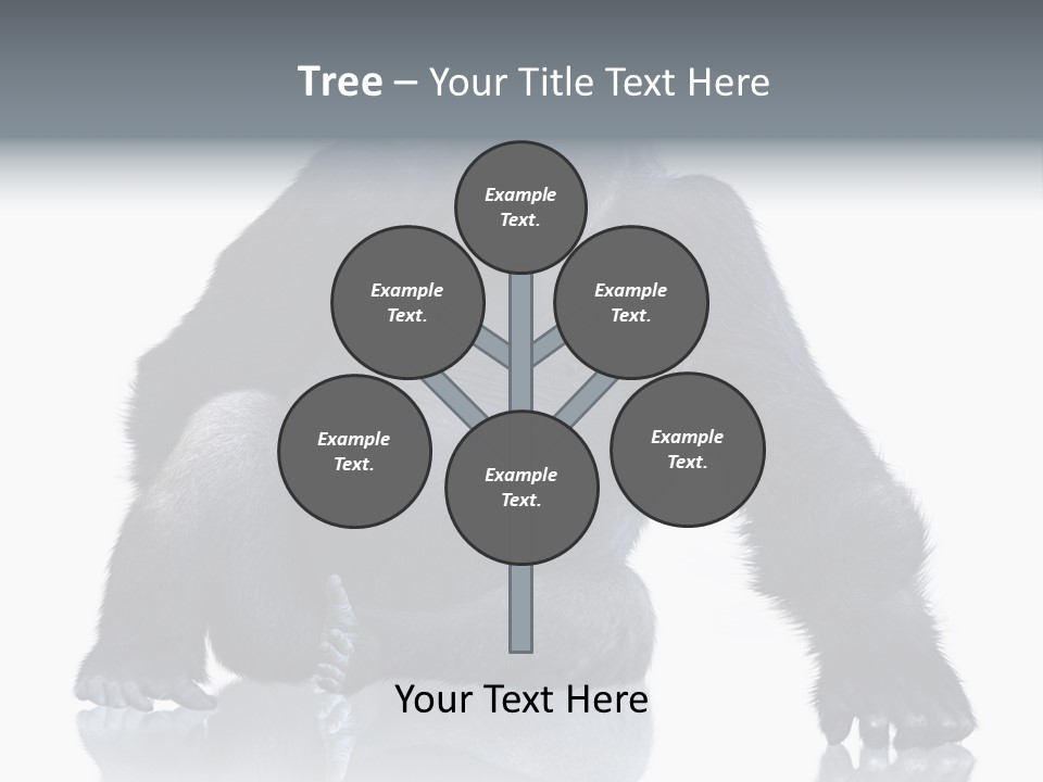 Sit King Kong Young PowerPoint Template