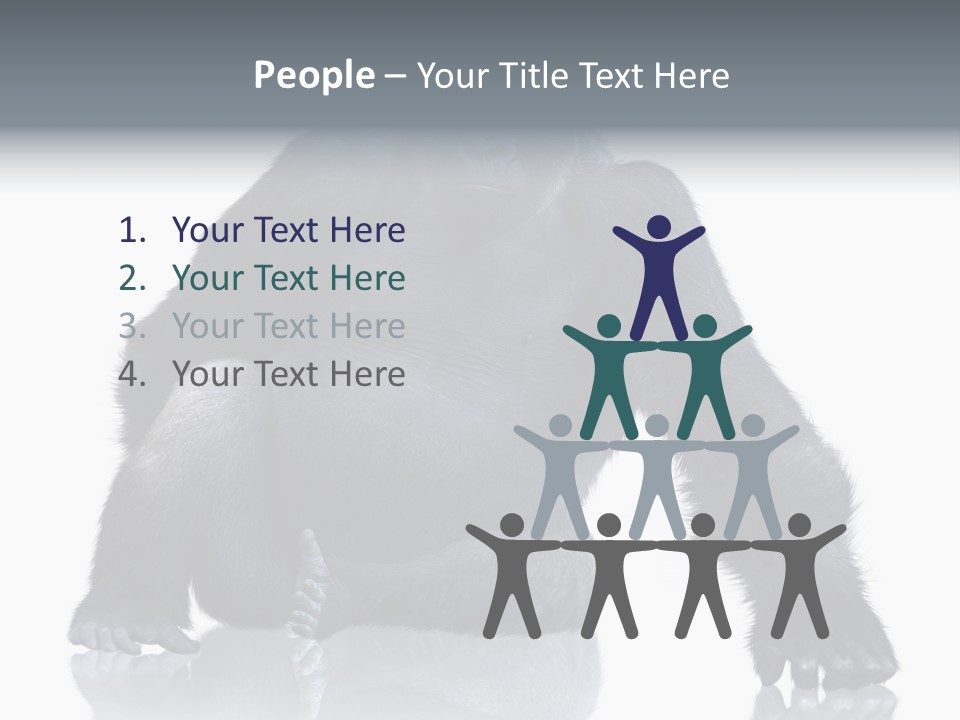 Sit King Kong Young PowerPoint Template