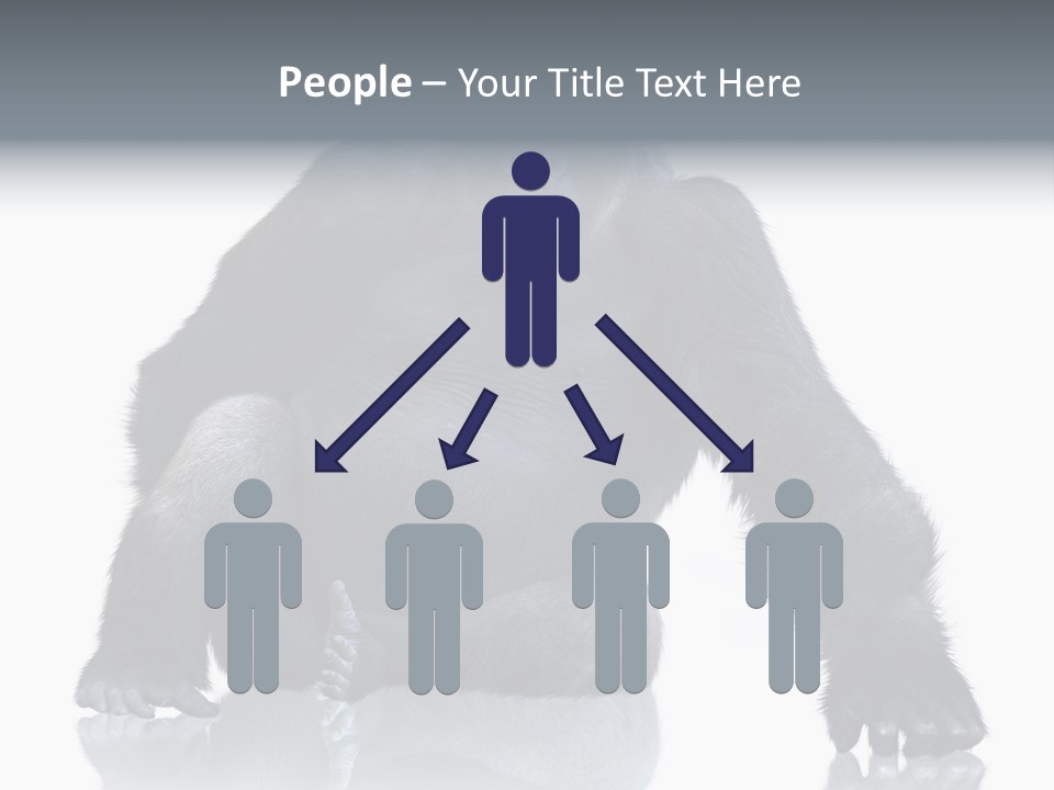 Sit King Kong Young PowerPoint Template