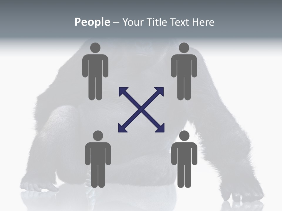 Sit King Kong Young PowerPoint Template