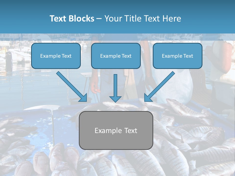 People Boats Sale PowerPoint Template