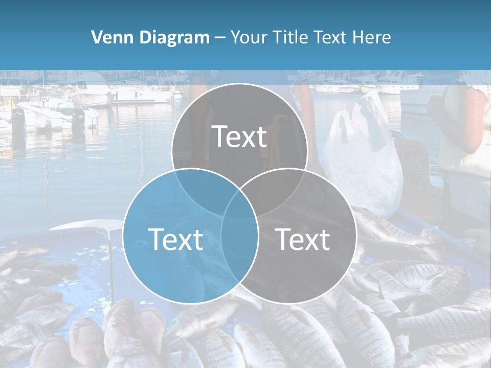 People Boats Sale PowerPoint Template