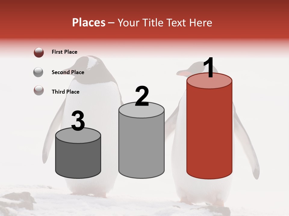 Tourism Pygoscelis Papua Wildlife PowerPoint Template