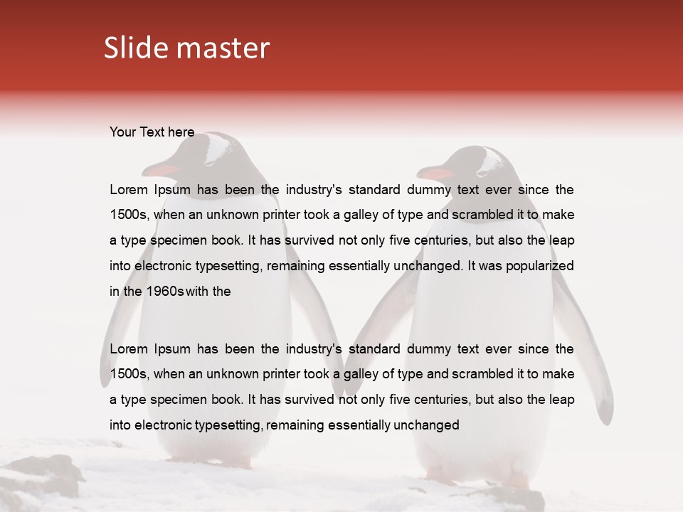 Tourism Pygoscelis Papua Wildlife PowerPoint Template