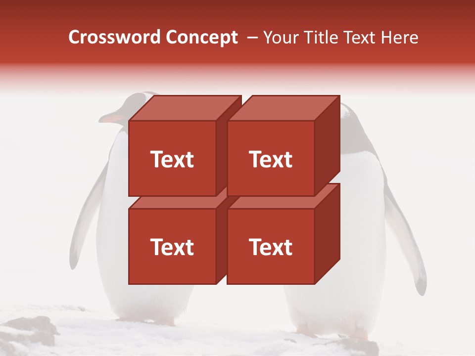 Tourism Pygoscelis Papua Wildlife PowerPoint Template