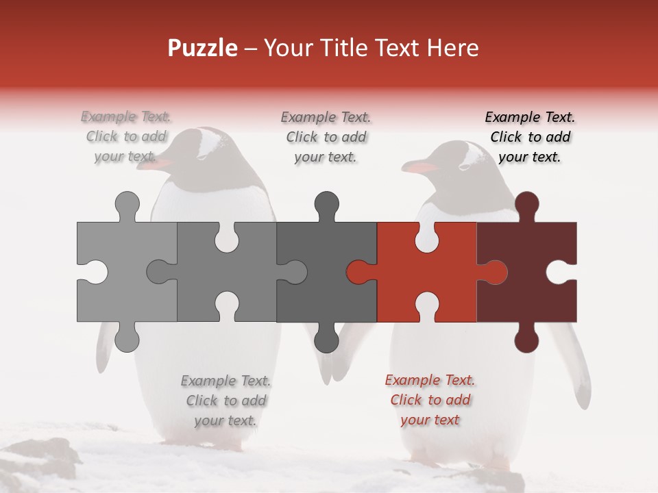 Tourism Pygoscelis Papua Wildlife PowerPoint Template