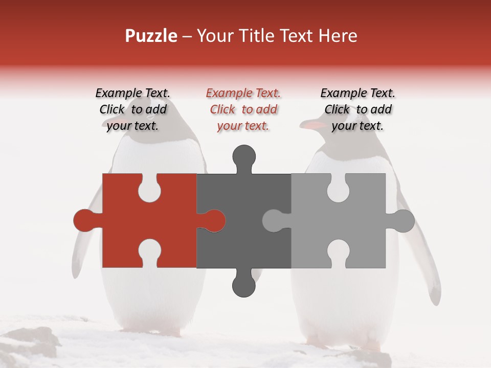 Tourism Pygoscelis Papua Wildlife PowerPoint Template