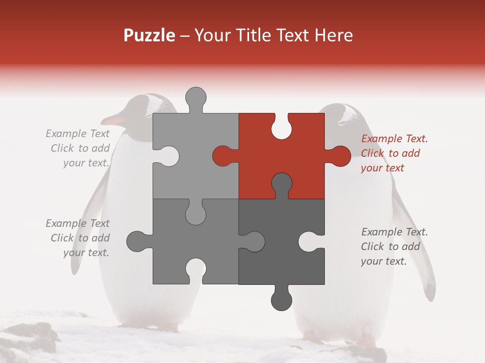 Tourism Pygoscelis Papua Wildlife PowerPoint Template