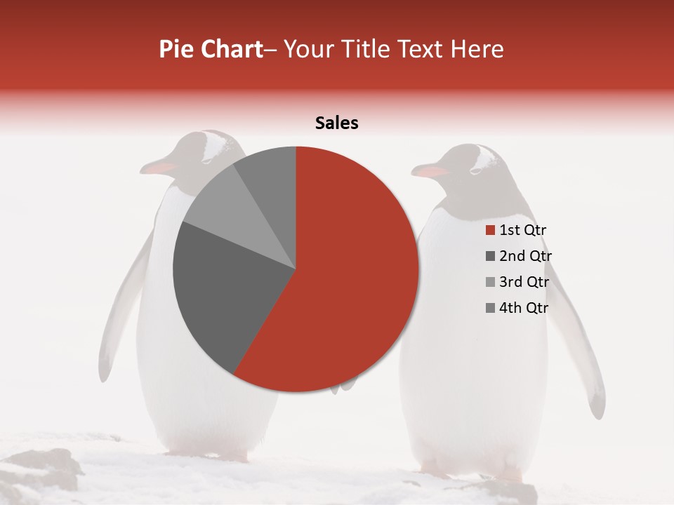 Tourism Pygoscelis Papua Wildlife PowerPoint Template