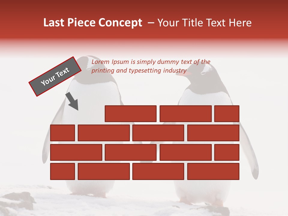 Tourism Pygoscelis Papua Wildlife PowerPoint Template