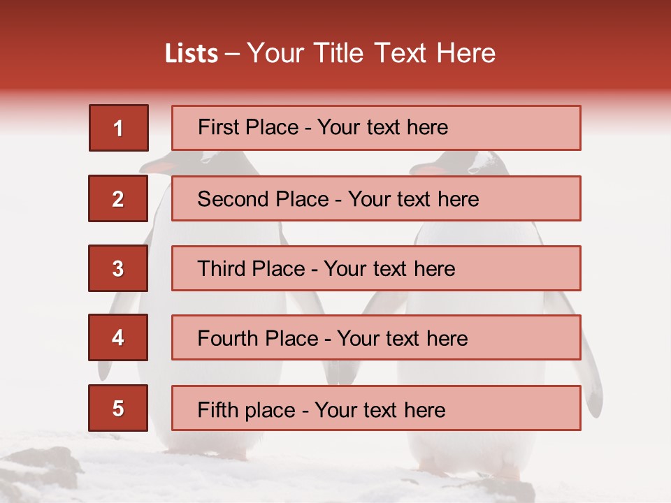Tourism Pygoscelis Papua Wildlife PowerPoint Template