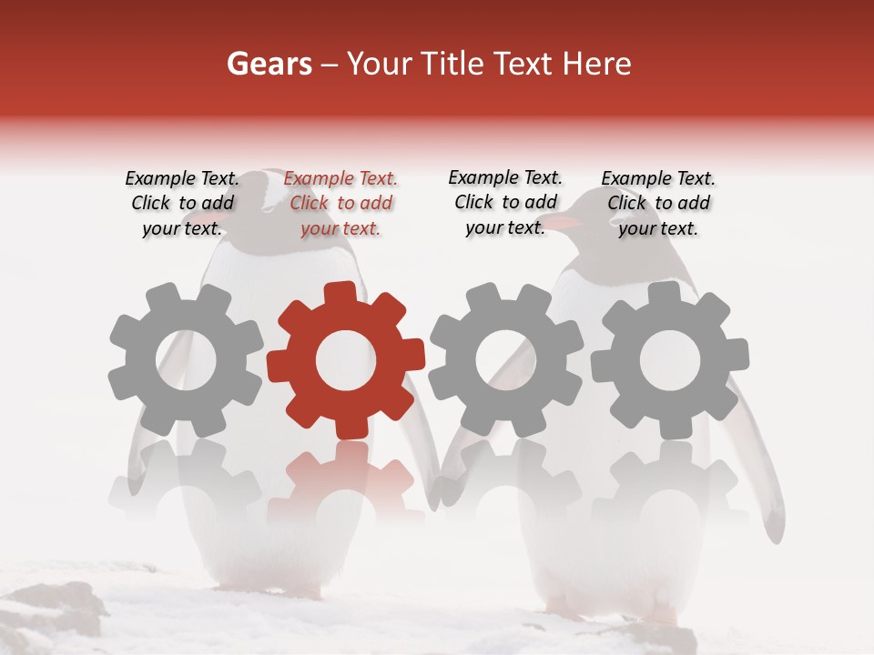 Tourism Pygoscelis Papua Wildlife PowerPoint Template