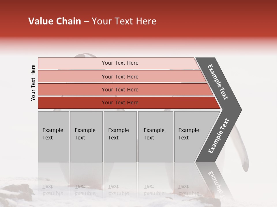 Tourism Pygoscelis Papua Wildlife PowerPoint Template
