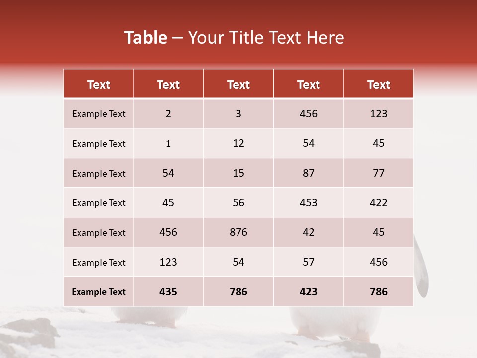 Tourism Pygoscelis Papua Wildlife PowerPoint Template