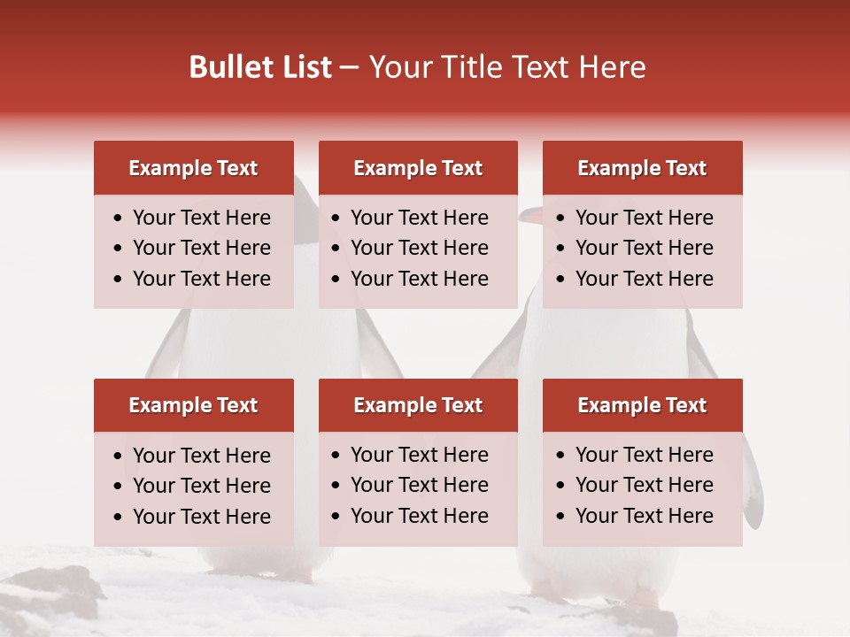 Tourism Pygoscelis Papua Wildlife PowerPoint Template