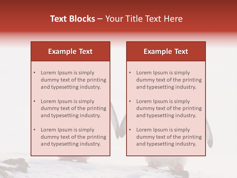 Tourism Pygoscelis Papua Wildlife PowerPoint Template