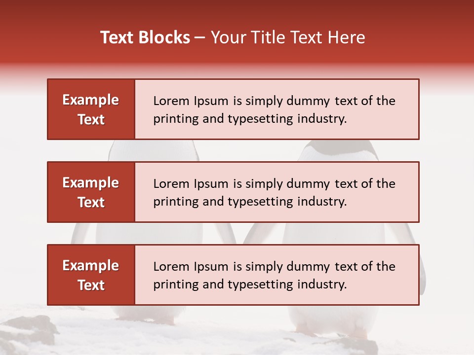 Tourism Pygoscelis Papua Wildlife PowerPoint Template