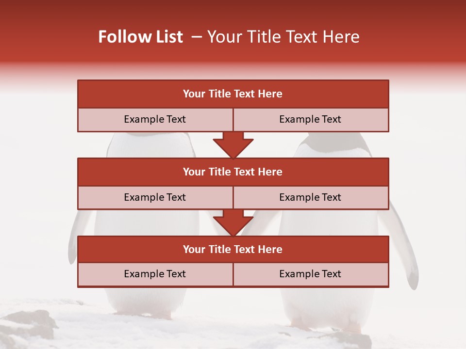 Tourism Pygoscelis Papua Wildlife PowerPoint Template