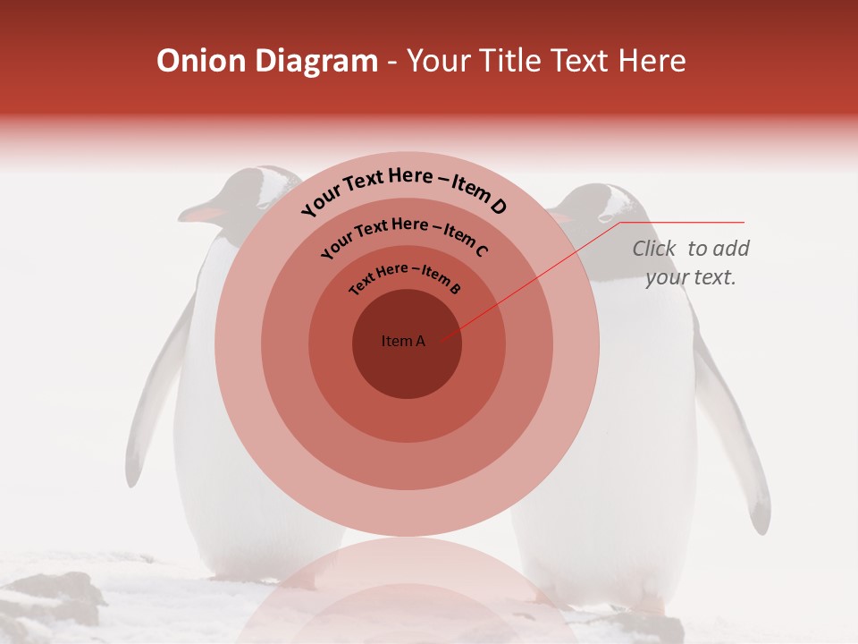 Tourism Pygoscelis Papua Wildlife PowerPoint Template