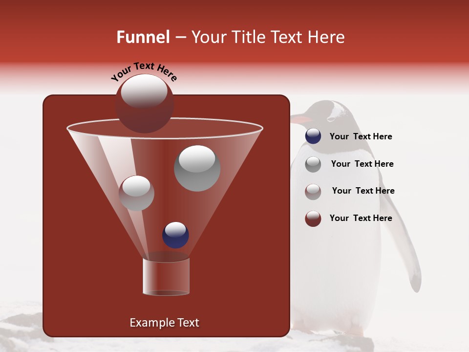 Tourism Pygoscelis Papua Wildlife PowerPoint Template