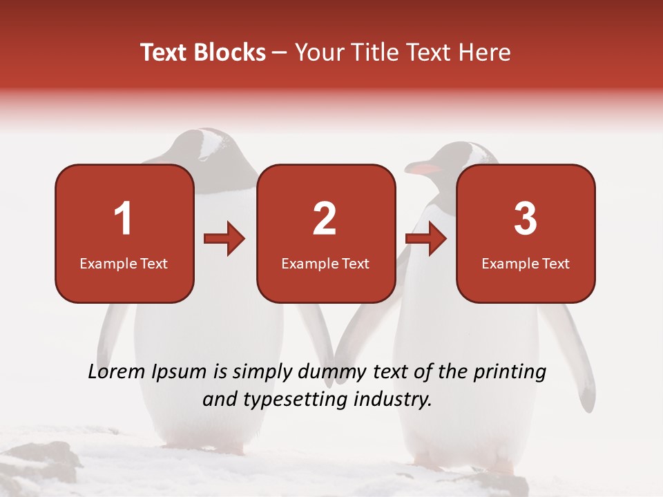 Tourism Pygoscelis Papua Wildlife PowerPoint Template