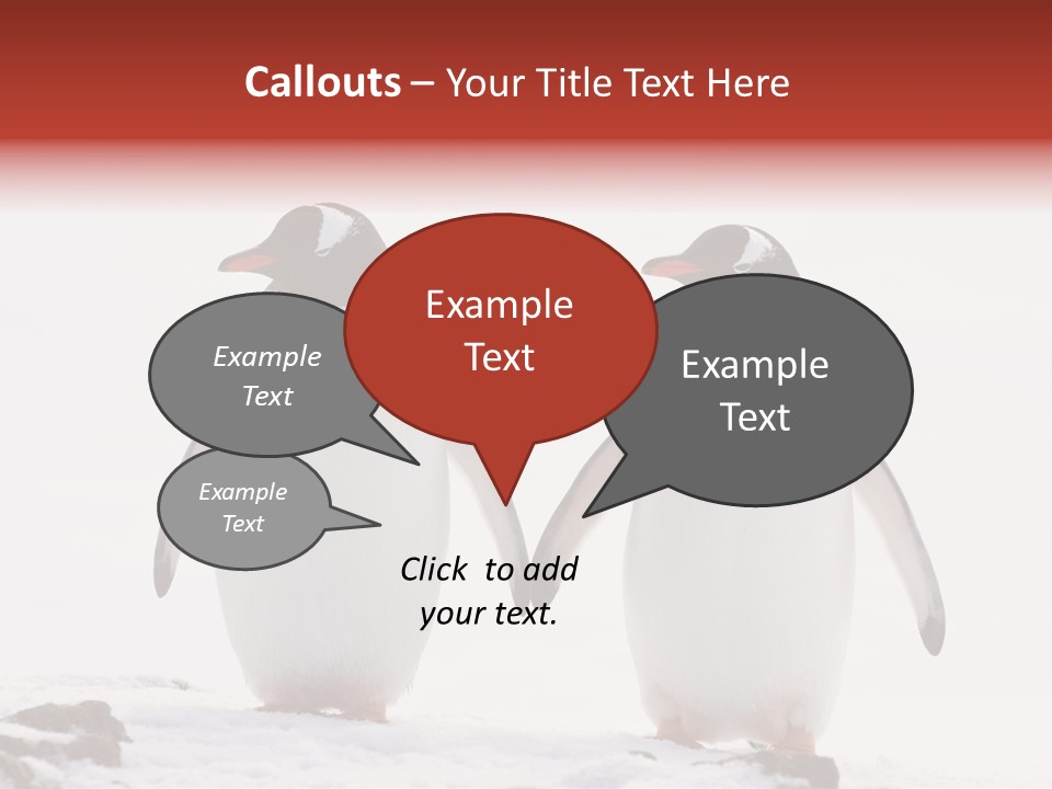 Tourism Pygoscelis Papua Wildlife PowerPoint Template