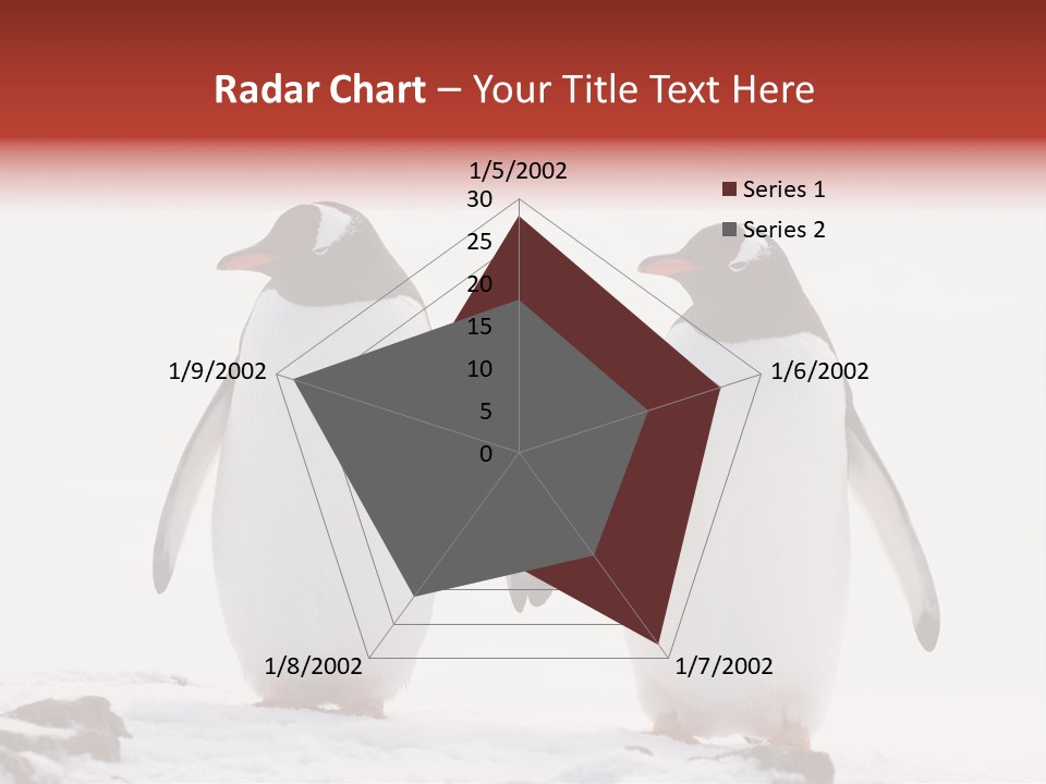 Tourism Pygoscelis Papua Wildlife PowerPoint Template